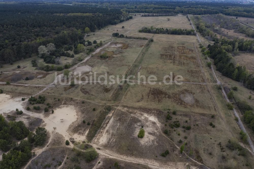 Münchehofe von oben - Grasflächen- Strukturen einer Feld- Landschaft in Münchehofe im Bundesland Brandenburg, Deutschland
