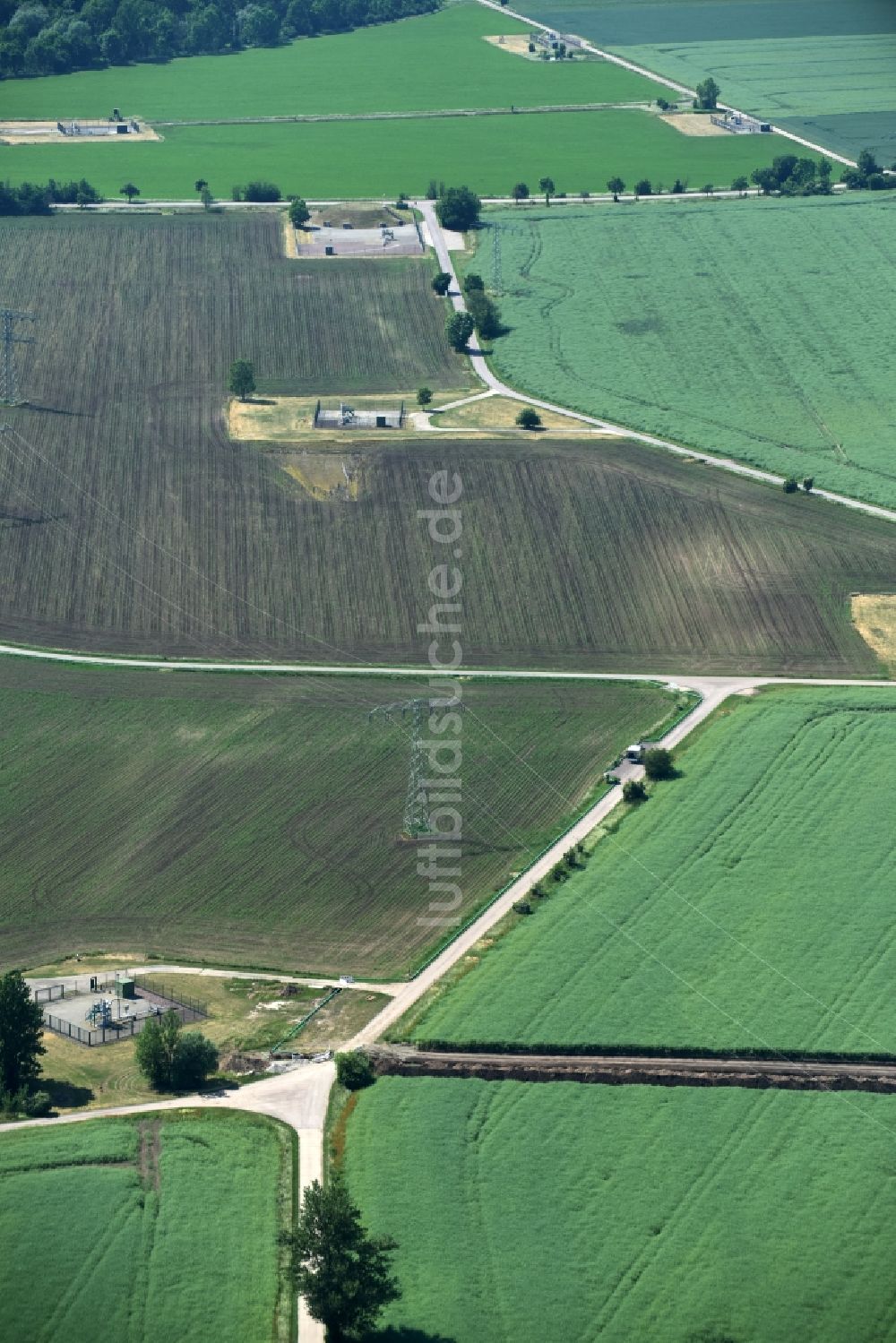 Luftaufnahme Peißen - Grasflächen- Strukturen einer Feld- Landschaft nahe Peißen im Bundesland Sachsen-Anhalt
