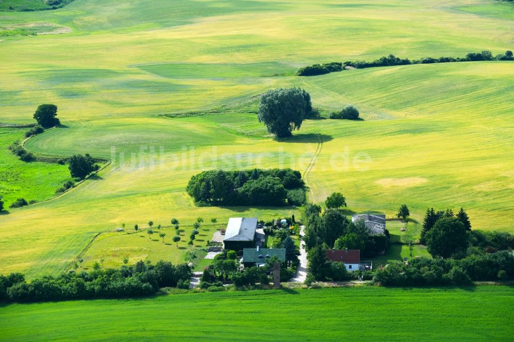 Luftbild Oderberg - Grasflächen- Strukturen einer Feld- Landschaft in Oderberg im Bundesland Brandenburg, Deutschland