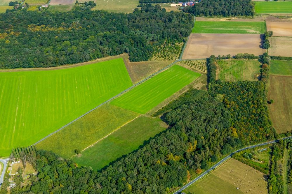 Luftaufnahme Hamm - Grasflächen- Strukturen einer Feld- Landschaft im Ortsteil Norddinker in Hamm im Bundesland Nordrhein-Westfalen, Deutschland