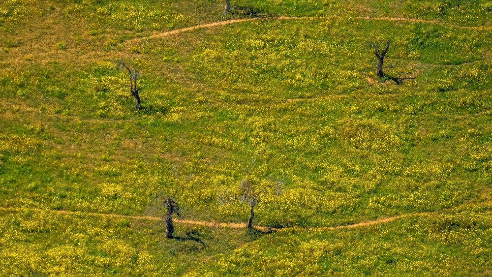 Luftbild Son Espanyol - Grasflächen- Strukturen einer Feld- Landschaft in Son Espanyol in Islas Baleares, Spanien