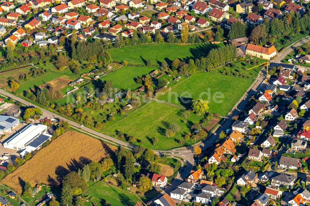 Ettenheim aus der Vogelperspektive: Grasflächen- Strukturen einer Feld- Landschaft Stadtbereich der Espen in Ettenheim im Bundesland Baden-Württemberg, Deutschland