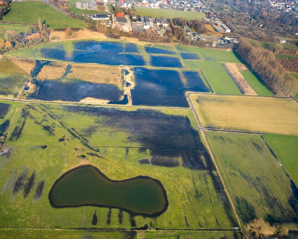 Luftbild Werne - Grasflächen- Strukturen einer Feld- Landschaft am Ufer der Lippe in Werne im Bundesland Nordrhein-Westfalen, Deutschland