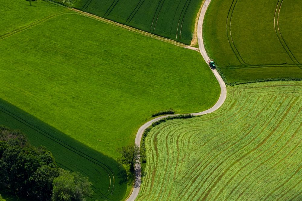 Waldeck aus der Vogelperspektive: Grasflächen- Strukturen einer Feld- Landschaft in Waldeck im Bundesland Hessen, Deutschland
