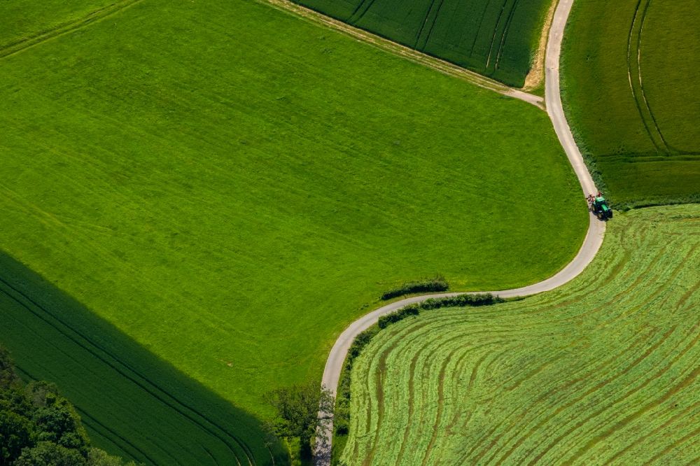 Luftbild Waldeck - Grasflächen- Strukturen einer Feld- Landschaft in Waldeck im Bundesland Hessen, Deutschland