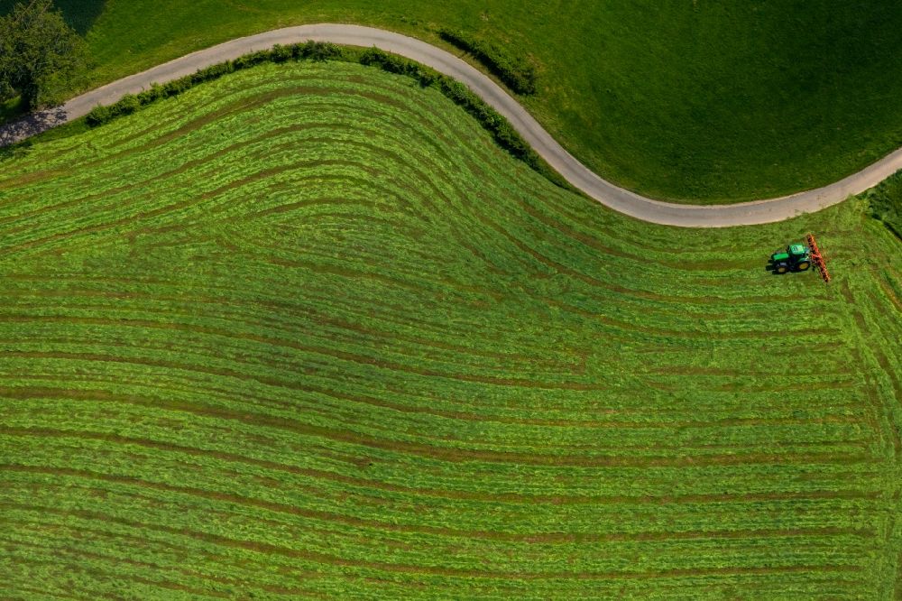 Waldeck von oben - Grasflächen- Strukturen einer Feld- Landschaft in Waldeck im Bundesland Hessen, Deutschland