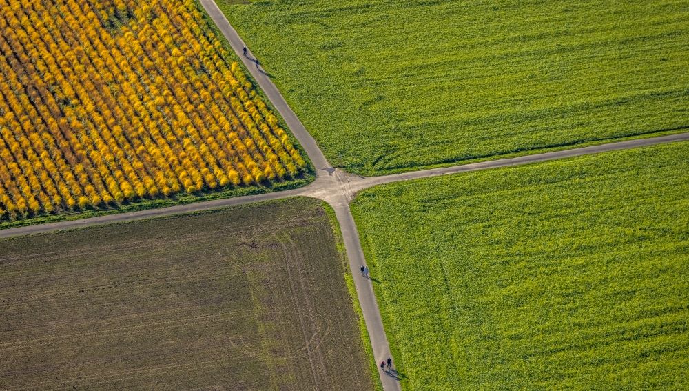 Uphusen aus der Vogelperspektive: Grasflächen- Strukturen einer Feld- Landschaft mit Wegkreuzung in Uphusen im Bundesland Nordrhein-Westfalen, Deutschland
