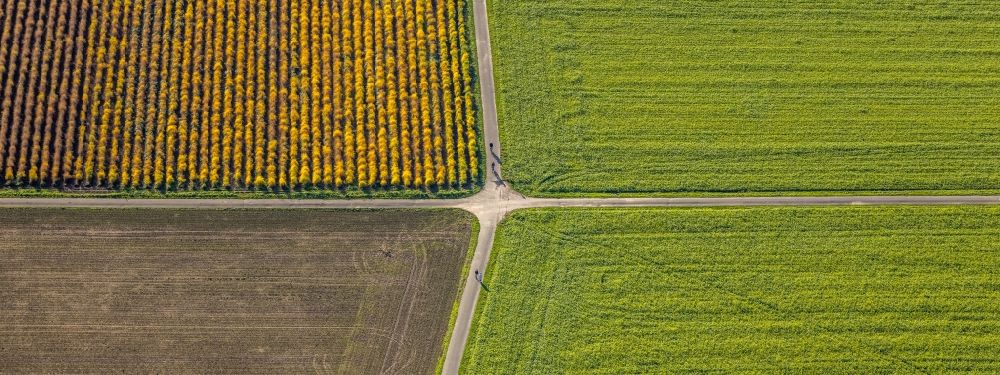 Luftaufnahme Uphusen - Grasflächen- Strukturen einer Feld- Landschaft mit Wegkreuzung in Uphusen im Bundesland Nordrhein-Westfalen, Deutschland