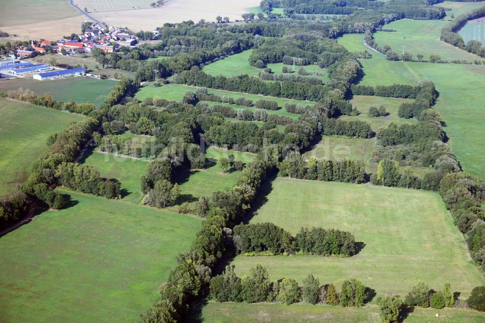Zörbig von oben - Grasflächen- Strukturen einer Feld- Landschaft in Zörbig im Bundesland Sachsen-Anhalt, Deutschland