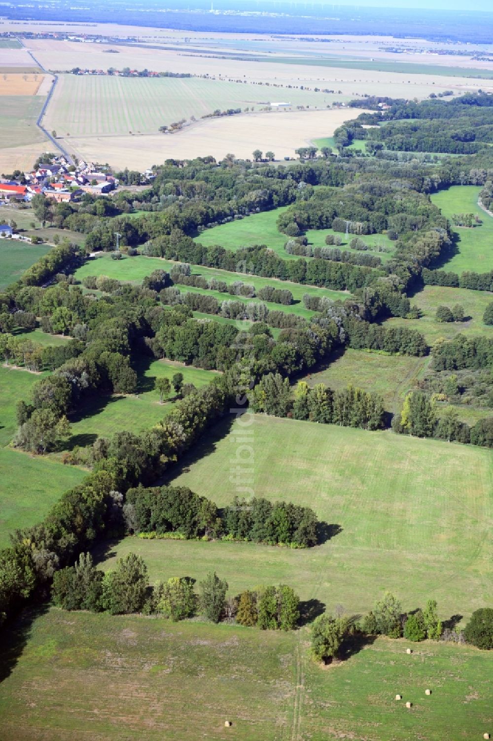 Zörbig aus der Vogelperspektive: Grasflächen- Strukturen einer Feld- Landschaft in Zörbig im Bundesland Sachsen-Anhalt, Deutschland