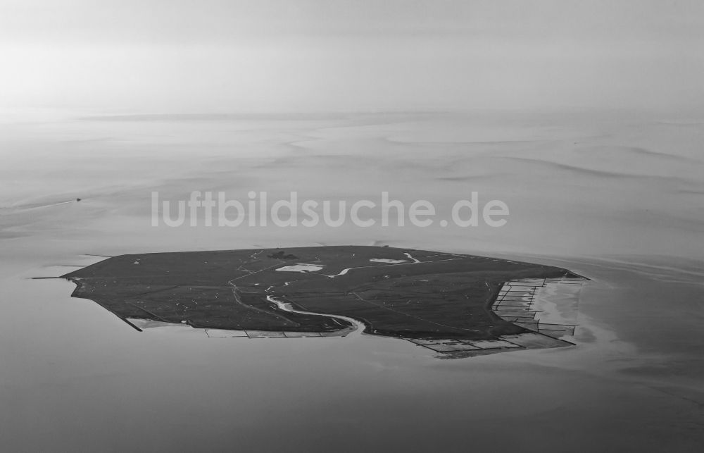 Luftbild Gröde - Grasflächen- Strukturen einer Hallig- Landschaft in Gröde im Bundesland Schleswig-Holstein, Deutschland