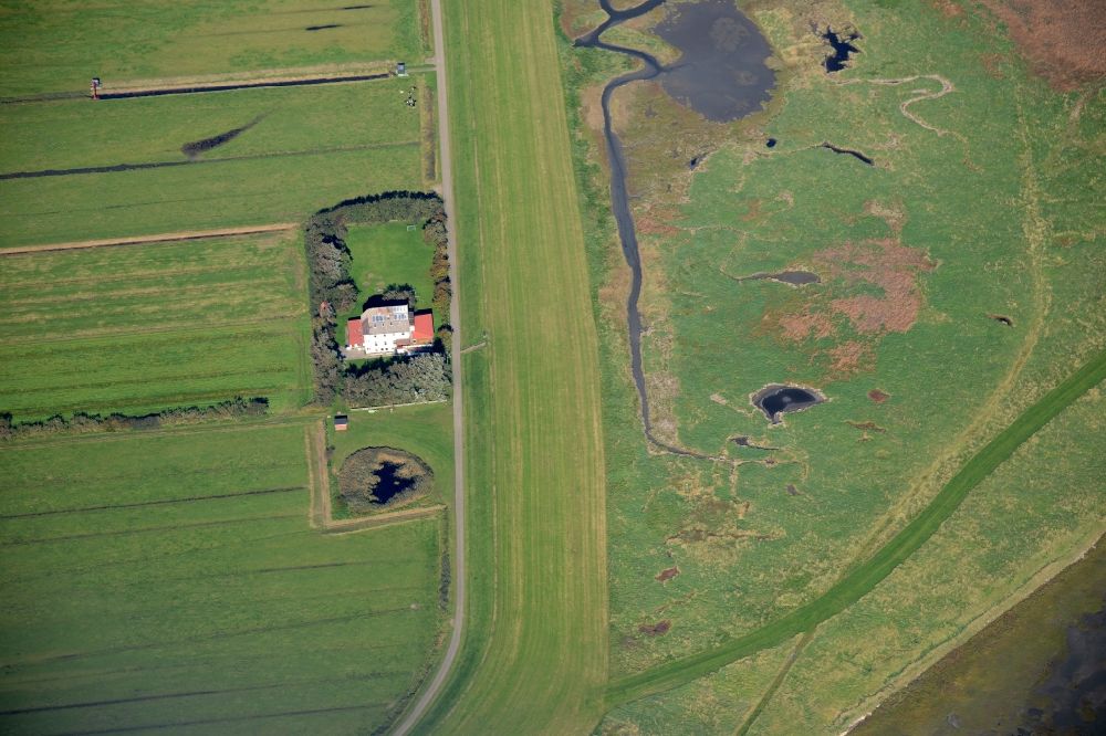 Luftaufnahme Insel Neuwerk - Grasflächen- Strukturen einer Hallig- Landschaft in Insel Neuwerk im Bundesland Hamburg