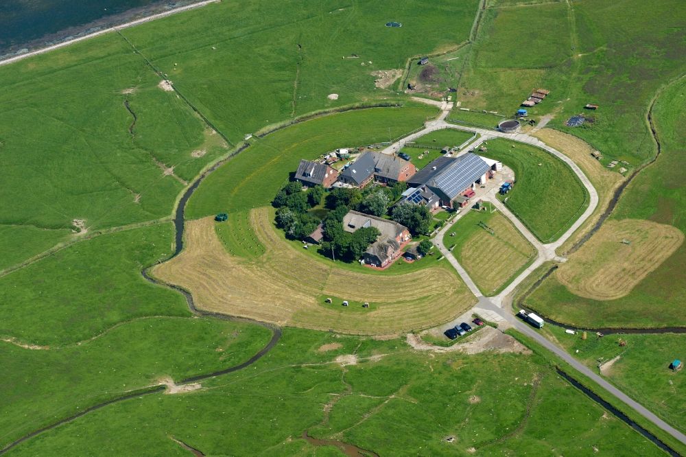 Luftaufnahme Langeneß - Grasflächen- Strukturen einer Hallig- Landschaft in Langeneß im Bundesland Schleswig-Holstein