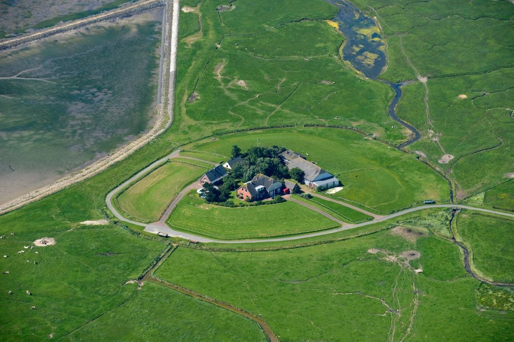 Luftbild Langeneß - Grasflächen- Strukturen einer Hallig- Landschaft in Langeneß im Bundesland Schleswig-Holstein