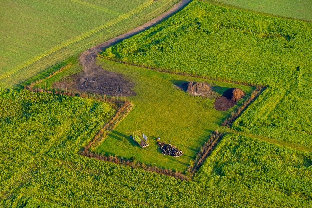 Hullern aus der Vogelperspektive: Grasflächen- Strukturen und landwirtschaftlichen Lagerfläche in Hullern im Bundesland Nordrhein-Westfalen, Deutschland