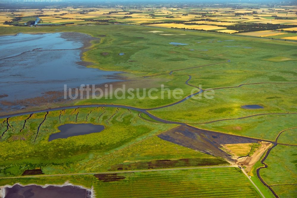 Luftbild Greetsiel - Grasflächen- Strukturen einer Salzwiesen- Landschaft in Greetsiel im Bundesland Niedersachsen, Deutschland