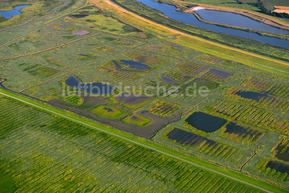 Luftaufnahme Greetsiel - Grasflächen- Strukturen einer Salzwiesen- Landschaft in Greetsiel im Bundesland Niedersachsen, Deutschland
