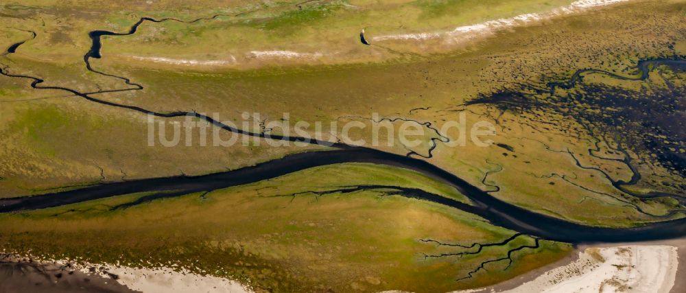 Luftbild Westerhever - Grasflächen- Strukturen einer Salzwiesen- Landschaft mit Prielbildung in Westerhever im Bundesland Schleswig-Holstein, Deutschland