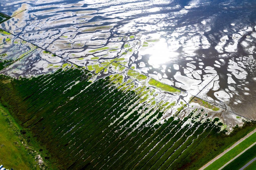 Norderney aus der Vogelperspektive: Grasflächen- Strukturen einer Salzwiesen- Landschaft auf der Südseite der Insel Norderney im Bundesland Niedersachsen, Deutschland