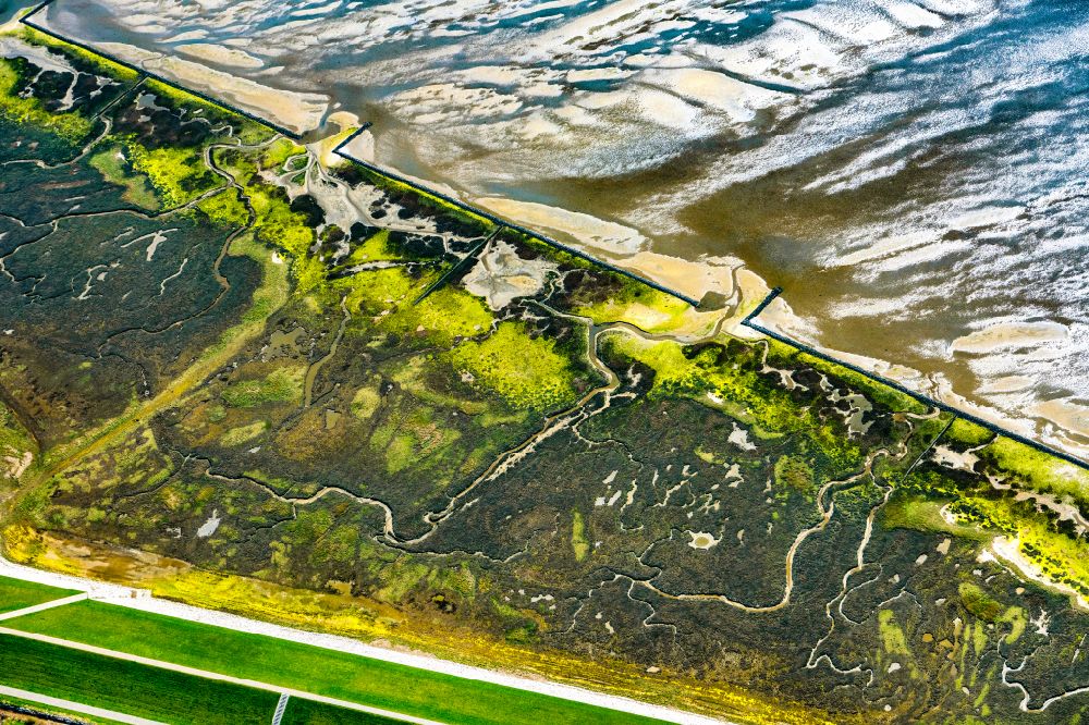 Luftaufnahme Wangerooge - Grasflächen- Strukturen einer Salzwiesen- Landschaft auf Wangerooge im Bundesland Niedersachsen, Deutschland