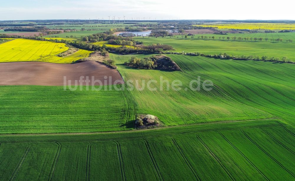 Carzig aus der Vogelperspektive: Grüne Getreidefeld- Strukturen in Carzig im Bundesland Brandenburg, Deutschland