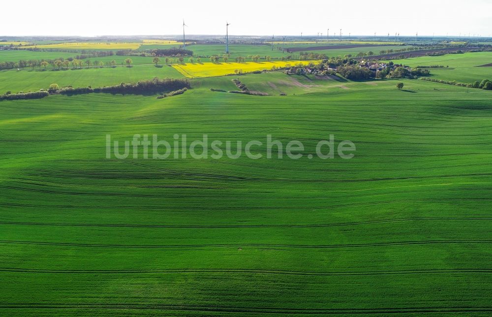 Luftaufnahme Carzig - Grüne Getreidefeld- Strukturen in Carzig im Bundesland Brandenburg, Deutschland