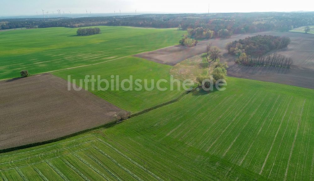 Petersdorf aus der Vogelperspektive: Grüne Getreidefeld- Strukturen in Petersdorf im Bundesland Brandenburg, Deutschland