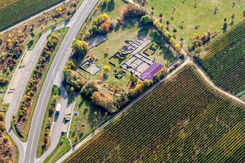 Luftaufnahme Wachenheim an der Weinstraße - Grundmauern der römischen Villa Rustica Wachenheim in Wachenheim an der Weinstraße im Bundesland Rheinland-Pfalz, Deutschland