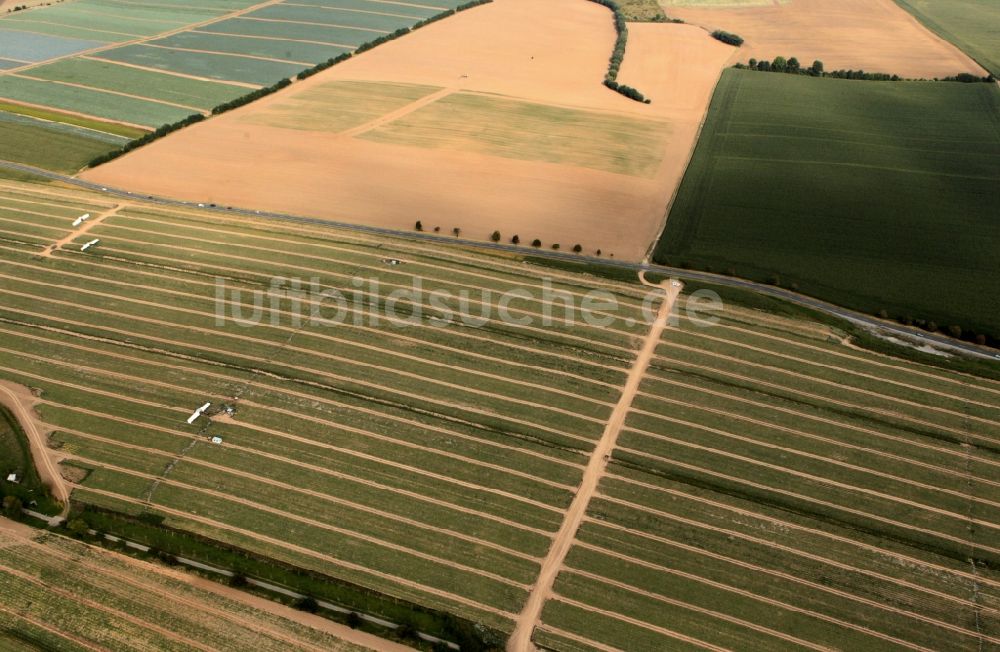 Luftaufnahme Niederdorla - Gurkenernte der Hainich Obst- und Gemüse - GmbH in Niederdorla in Thüringen