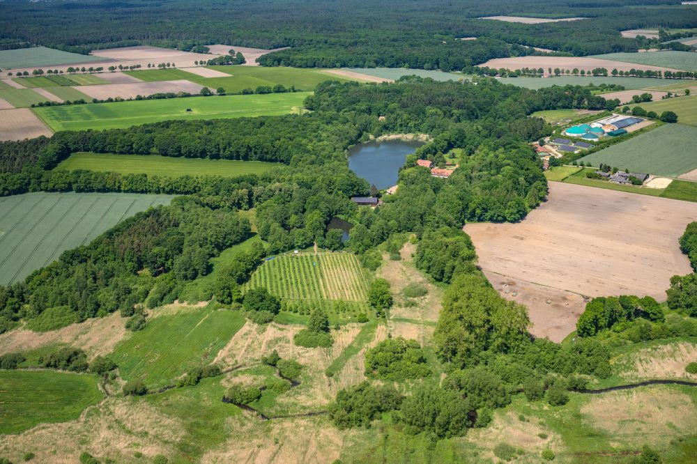 Luftaufnahme Horneburg - Gutshaus und Landgut Gut Daudik in Horneburg im Bundesland Niedersachsen, Deutschland