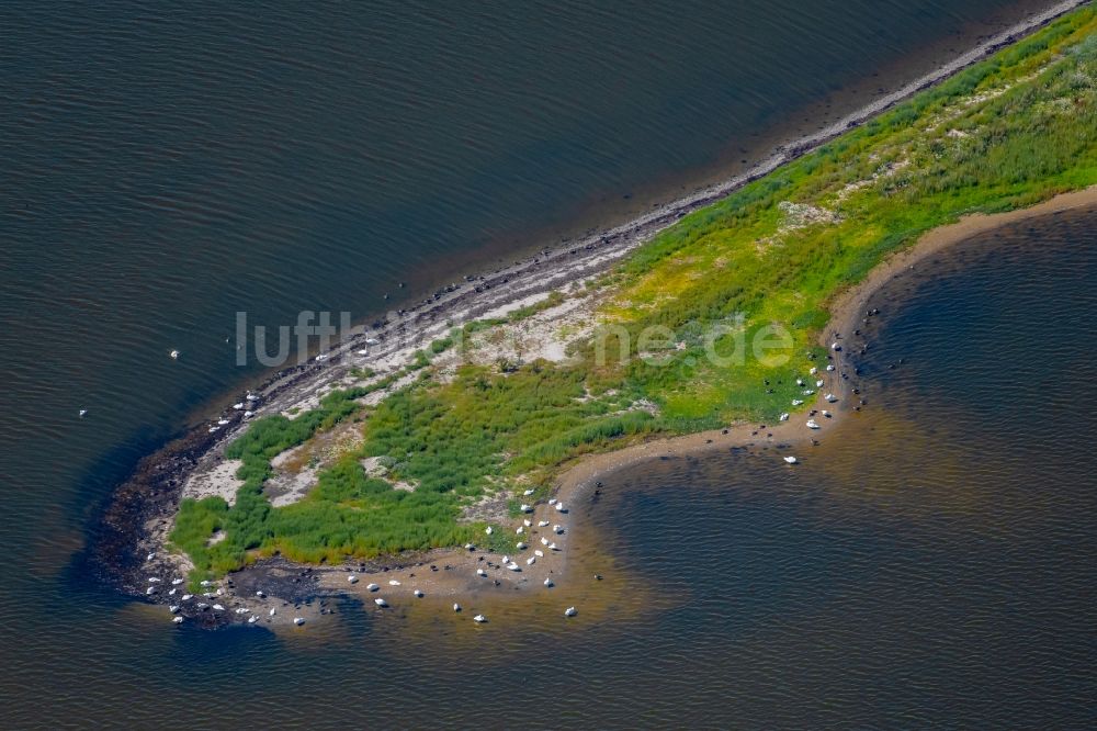 Luftaufnahme Wackerbillig - Halbinsel an der Geltinger Bucht in Wackerbillig im Bundesland Schleswig-Holstein, Deutschland