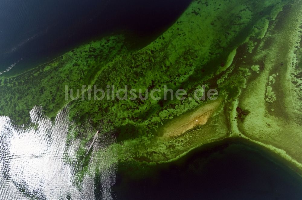 Luftbild Radolfzell am Bodensee - Halbinsel auf dem Mettnau bei Radolfzell am Bodensee im Bundesland Baden-Württemberg, Deutschland