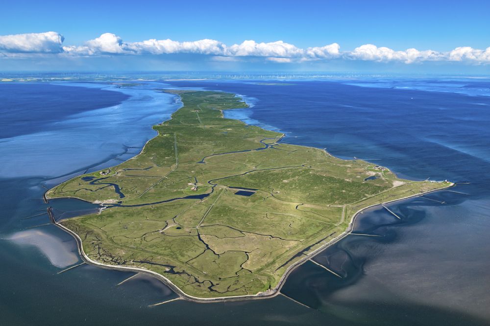 Luftaufnahme Langeneß - Hallig- Landschaft der Nordsee - Insel in Langeneß im Bundesland Schleswig-Holstein, Deutschland