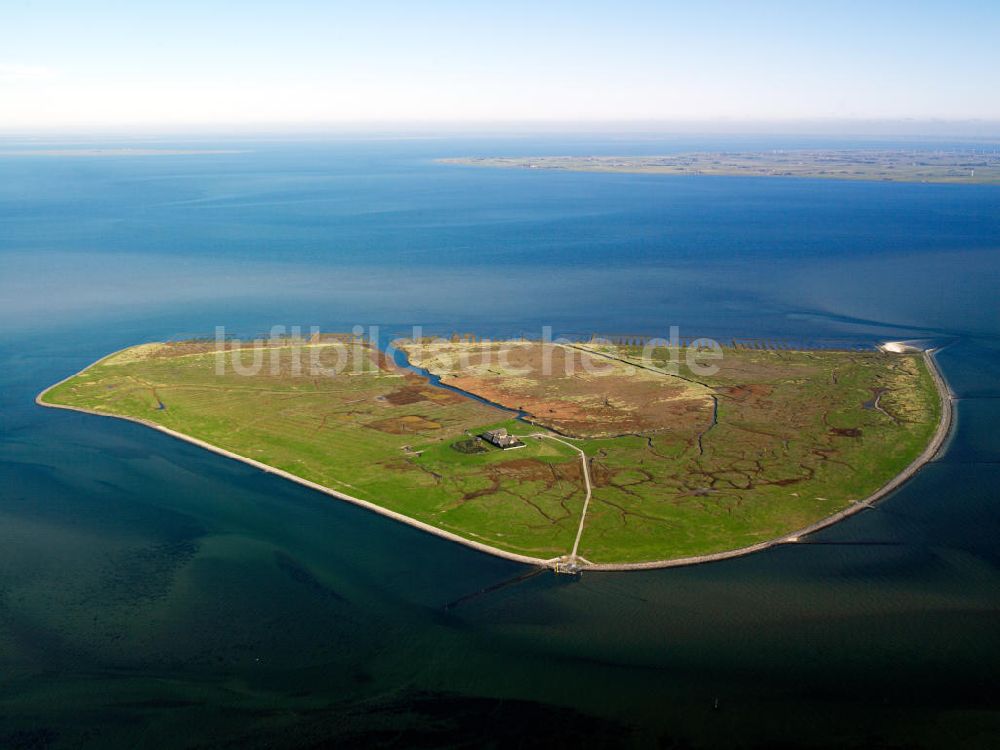Luftbild SÜDERDEROOG - Hallig Süderoog, vor der Westküste von Schleswig-Holstein
