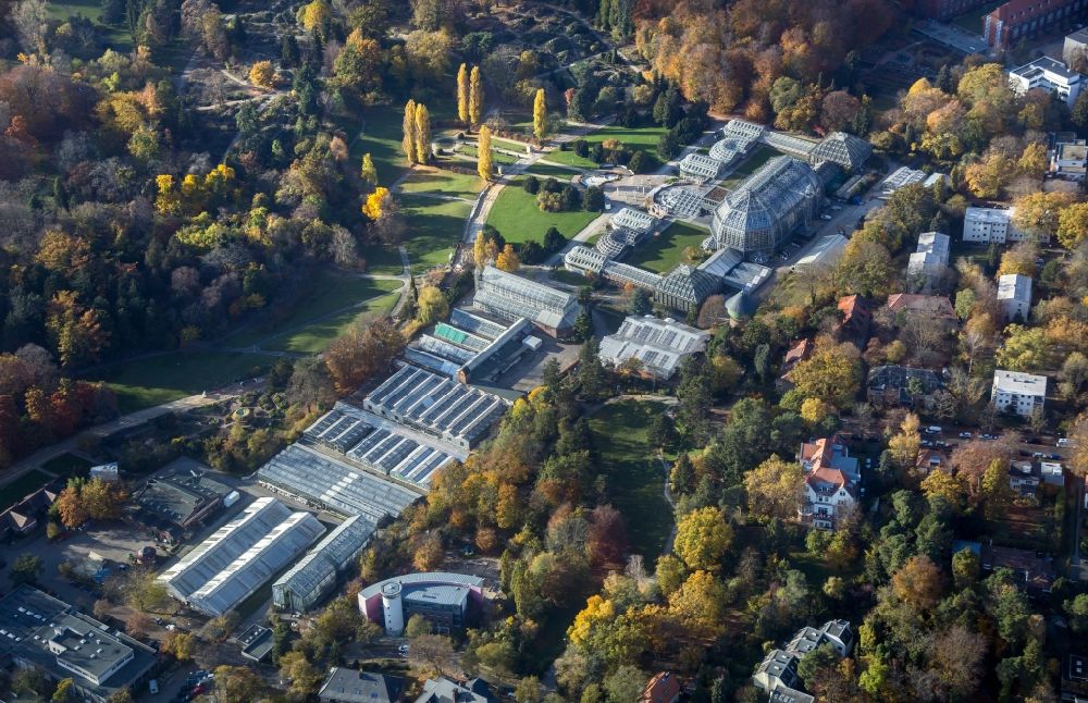 Luftaufnahme Berlin - Hauptgebäude und Gewächshäuser- Komplex im Botanischen Garten Berlin-Dahlem in Berlin