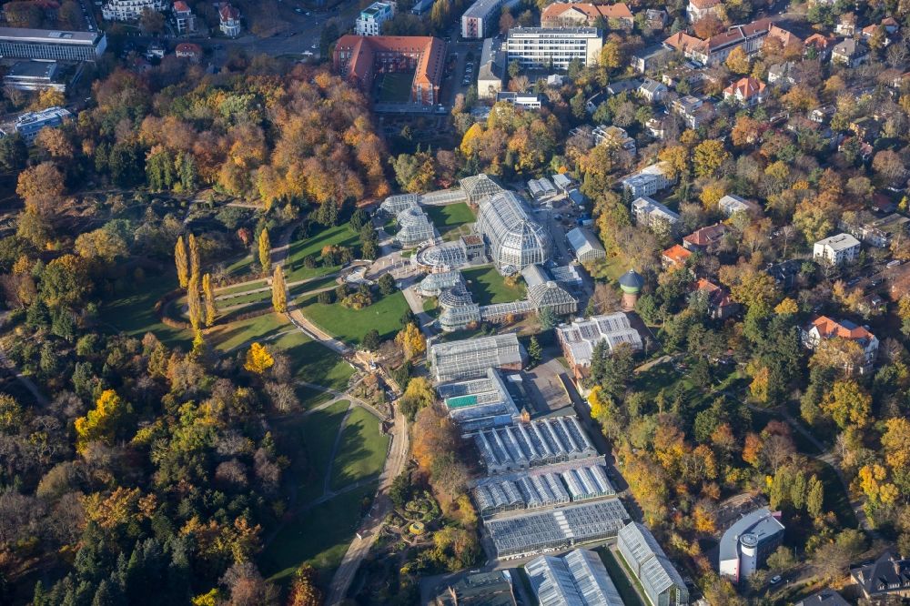 Berlin von oben - Hauptgebäude und Gewächshäuser- Komplex im Botanischen Garten Berlin-Dahlem in Berlin