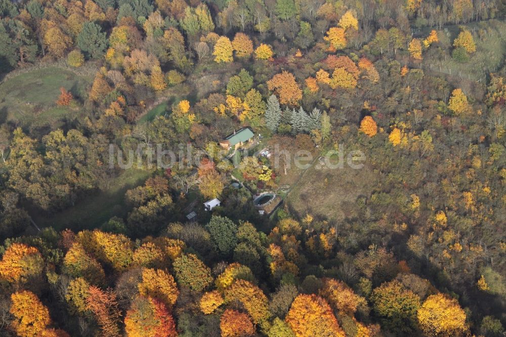 Liepe aus der Vogelperspektive: Haus im Wald bei Liepe im Bundesland Brandenburg