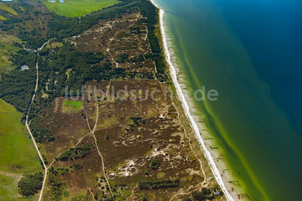Luftaufnahme Insel Hiddensee - Heide- Landschaft Dünenheide an der Meeres-Küste der Ostsee Insel Hiddensee im Bundesland Mecklenburg-Vorpommern