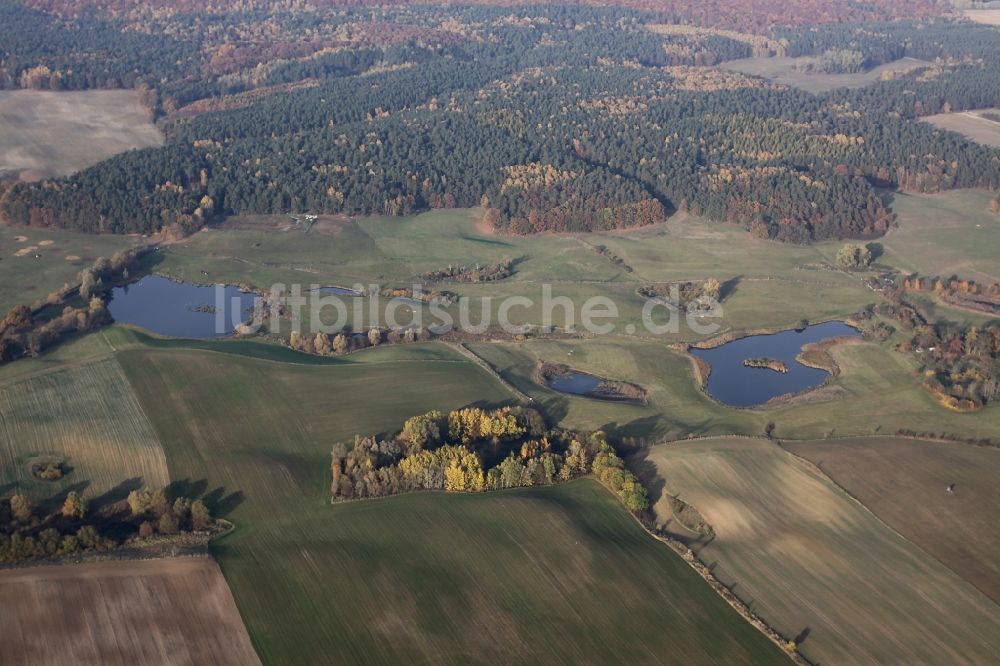 Luftaufnahme Lichterfelde - Heide- Landschaft Naturschutzgebiet Buckowseerinne bei Lichterfelde im Bundesland Brandenburg