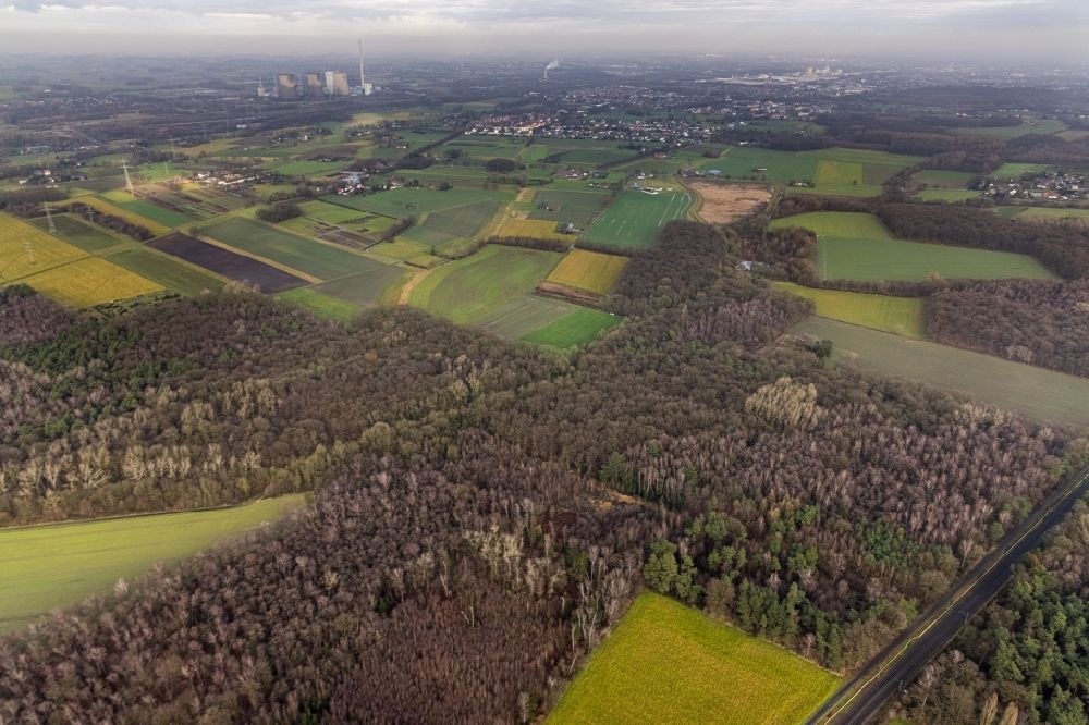 Luftaufnahme Rünthe - Heide- Landschaft Sandbochumerheide in Rünthe im Bundesland Nordrhein-Westfalen, Deutschland