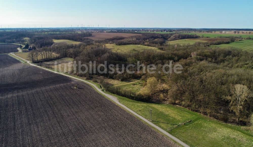 Seelow von oben - Heide- Landschaft Seelower Höhen in Seelow im Bundesland Brandenburg, Deutschland