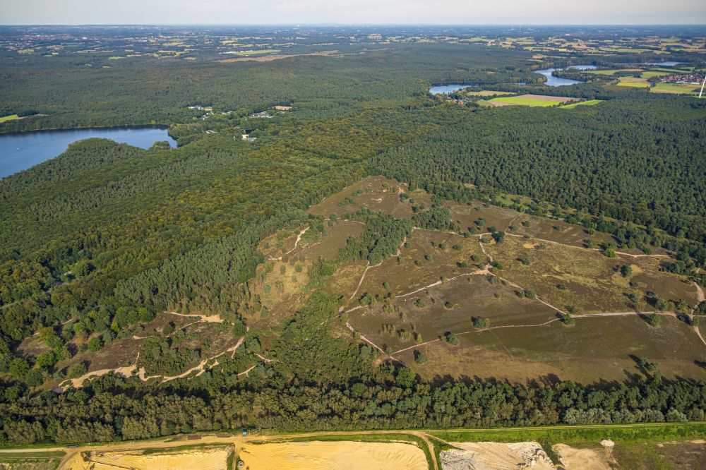 Haltern am See aus der Vogelperspektive: Heide- Landschaft Westruper Heide in Haltern am See im Bundesland Nordrhein-Westfalen