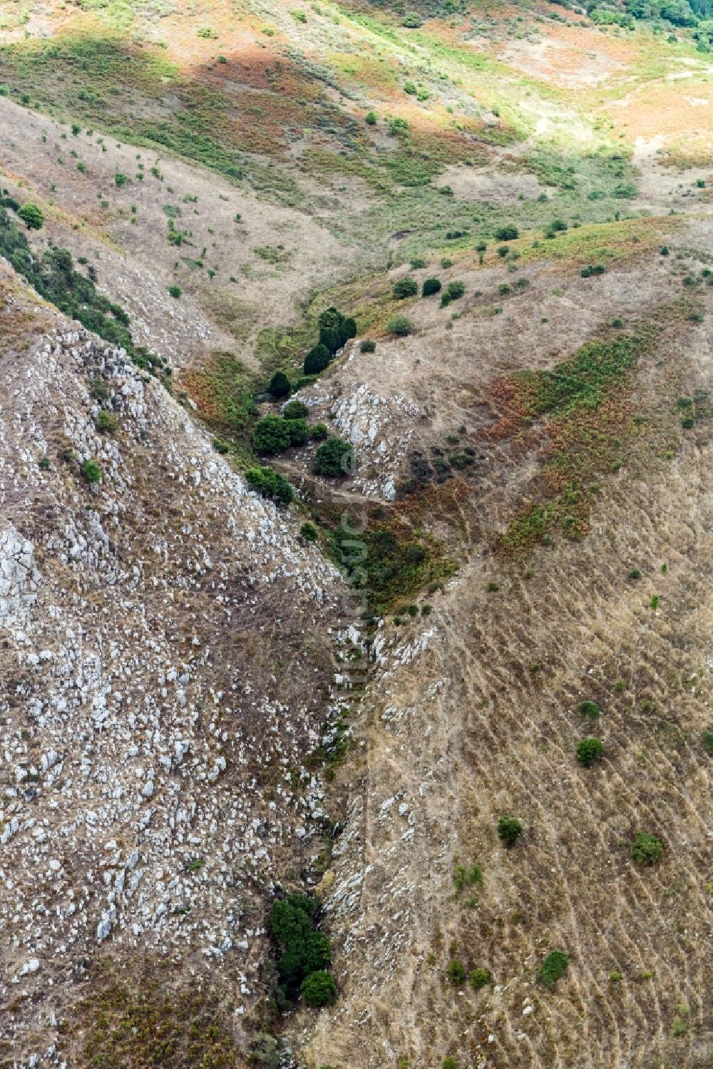 Luftbild Sizilien - Heidelandschaft im Gebirgszug des Nebrodi National Park in Sizilien in Italien