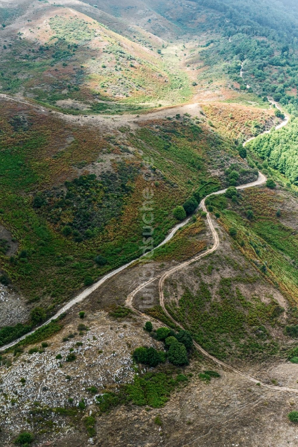 Luftaufnahme Sizilien - Heidelandschaft im Gebirgszug des Nebrodi National Park in Sizilien in Italien