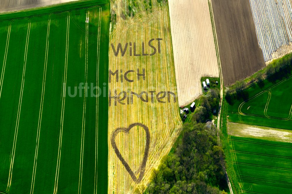 Wiesentheid aus der Vogelperspektive: Heiratsantrag in Getreidefeld- Strukturen in Wiesentheid im Bundesland Bayern, Deutschland