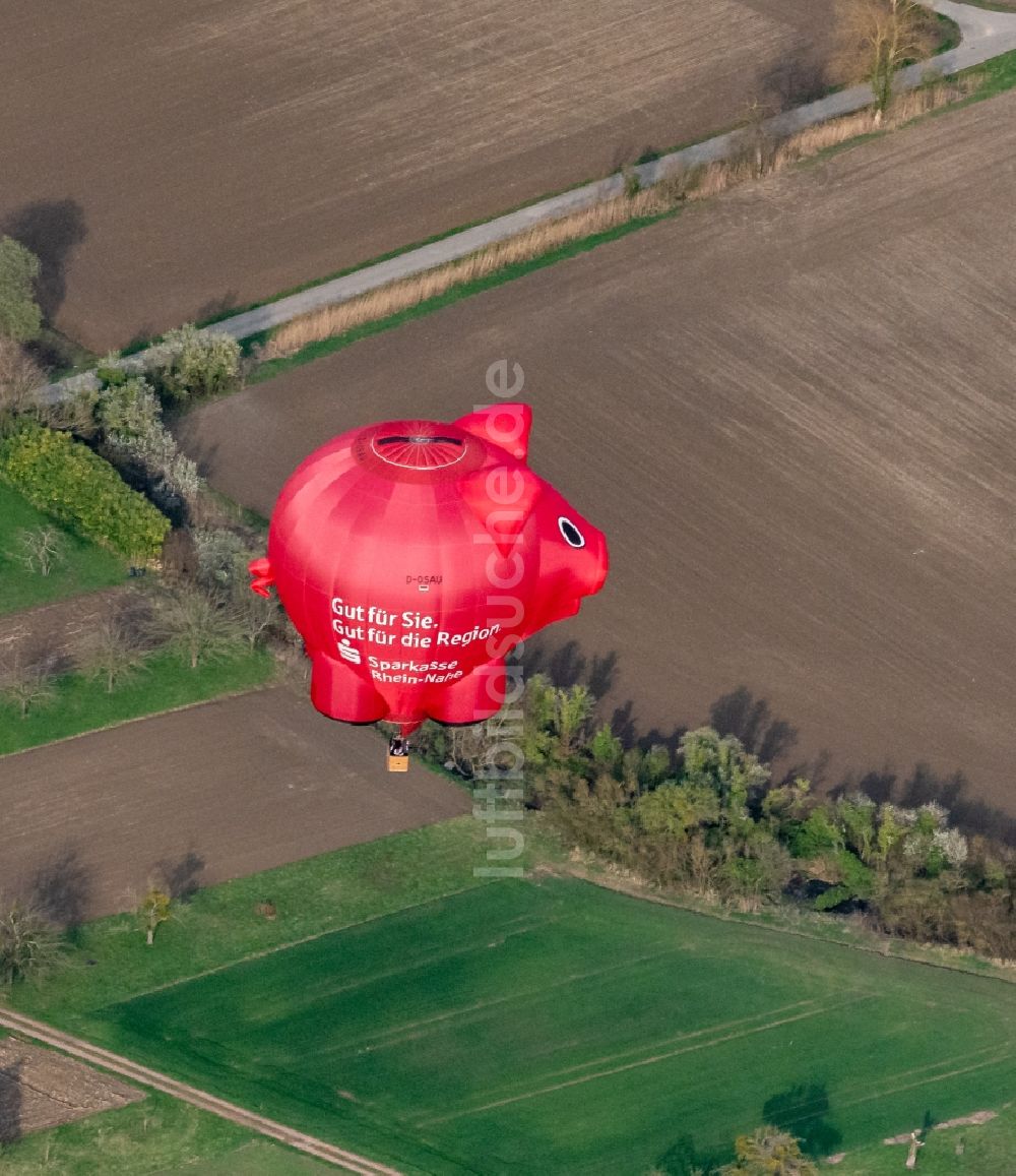 Luftbild Rust - Heißluftballon beim Europa-Park Ballon Festival in Fahrt über dem Luftraum in Rust im Bundesland Baden-Württemberg, Deutschland