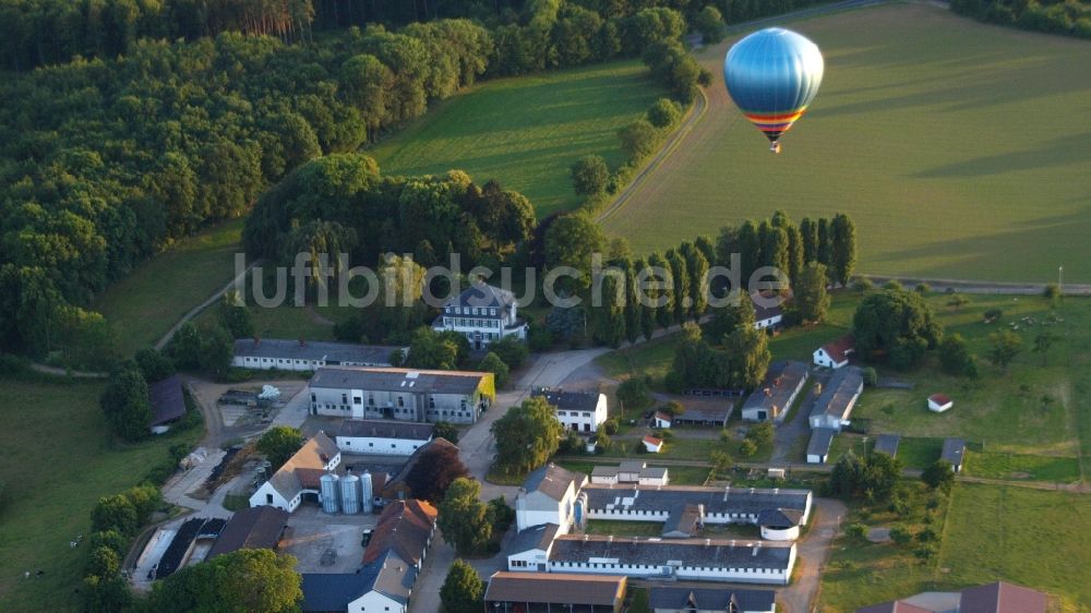 Hoholz von oben - Heißluftballon in Fahrt über dem Luftraum in Hoholz im Bundesland Nordrhein-Westfalen, Deutschland
