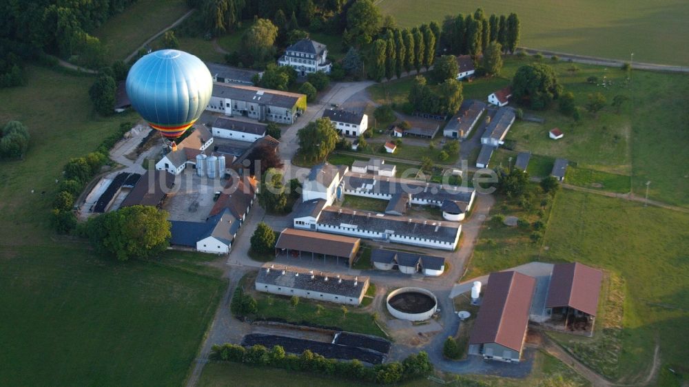 Luftaufnahme Hoholz - Heißluftballon in Fahrt über dem Luftraum in Hoholz im Bundesland Nordrhein-Westfalen, Deutschland