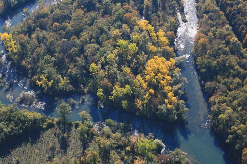 Rheinhausen von oben - Herbstfarben in der Auen Landschaft an den Uferbereichen im Naturschutzgebiet Taubergießen bei Rheinhausen im Bundesland Baden-Württemberg