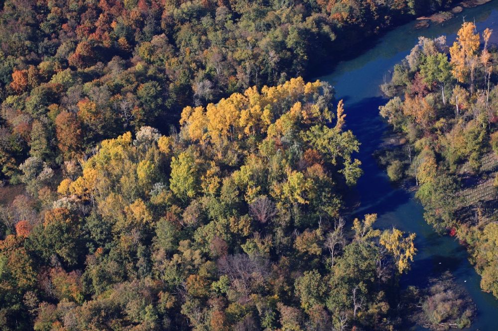Luftbild Rheinhausen - Herbstfarben in der Auen Landschaft an den Uferbereichen im Naturschutzgebiet Taubergießen bei Rheinhausen im Bundesland Baden-Württemberg